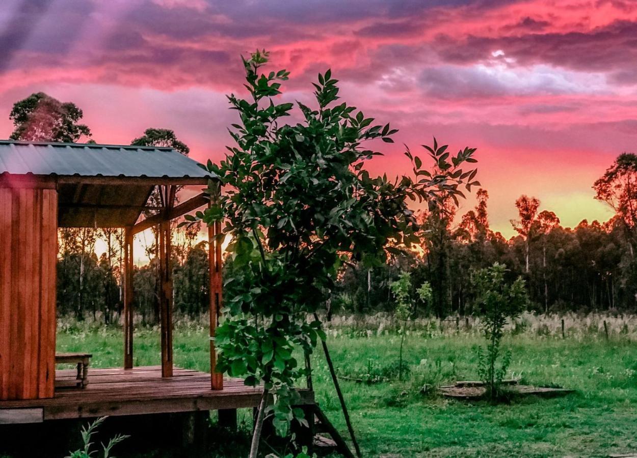 Campo Verde Concordia Buitenkant foto