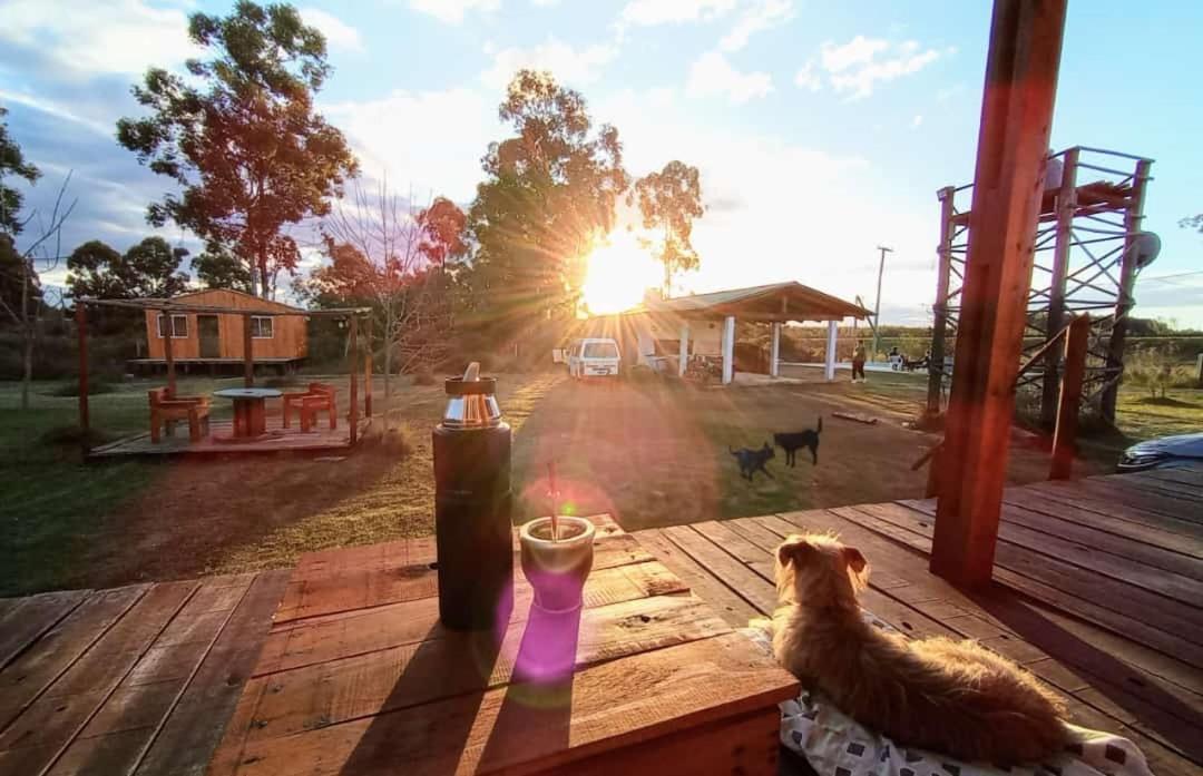 Campo Verde Concordia Buitenkant foto